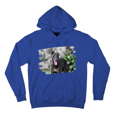 Greyhound Dog Lover Gift Hoodie