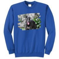 Greyhound Dog Lover Gift Sweatshirt