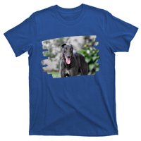 Greyhound Dog Lover Gift T-Shirt