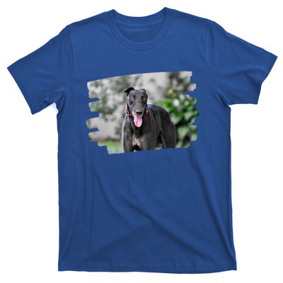 Greyhound Dog Lover Gift T-Shirt