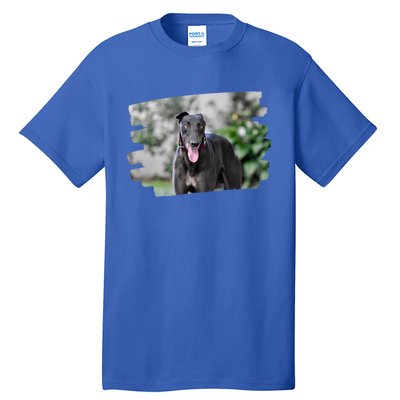 Greyhound Dog Lover Gift Tall T-Shirt