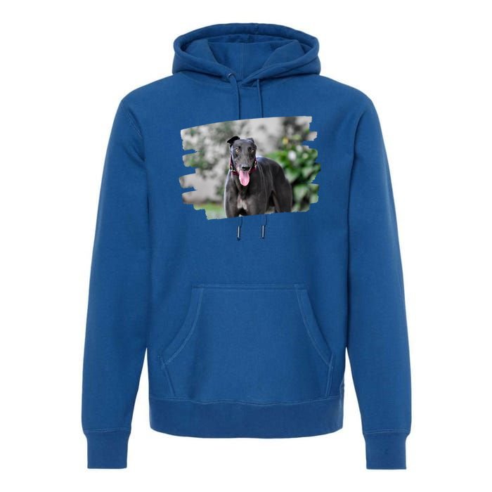 Greyhound Dog Lover Gift Premium Hoodie