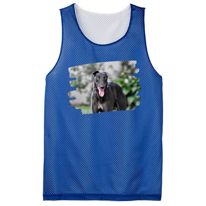 Greyhound Dog Lover Gift Mesh Reversible Basketball Jersey Tank