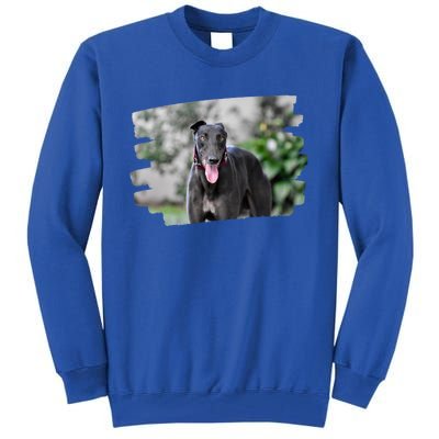 Greyhound Dog Lover Gift Tall Sweatshirt