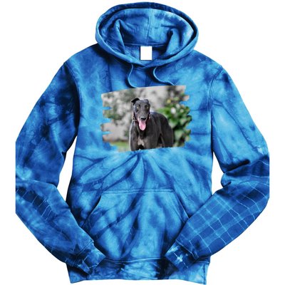 Greyhound Dog Lover Gift Tie Dye Hoodie