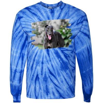 Greyhound Dog Lover Gift Tie-Dye Long Sleeve Shirt