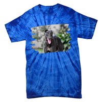 Greyhound Dog Lover Gift Tie-Dye T-Shirt