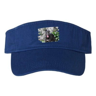 Greyhound Dog Lover Gift Valucap Bio-Washed Visor