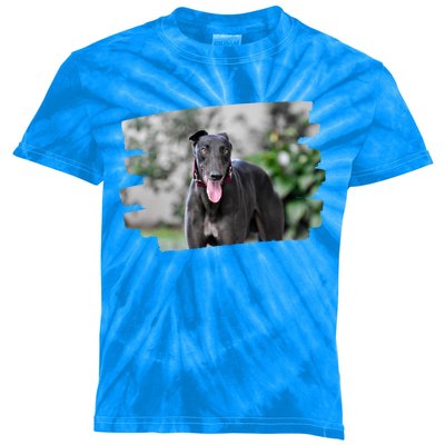 Greyhound Dog Lover Gift Kids Tie-Dye T-Shirt