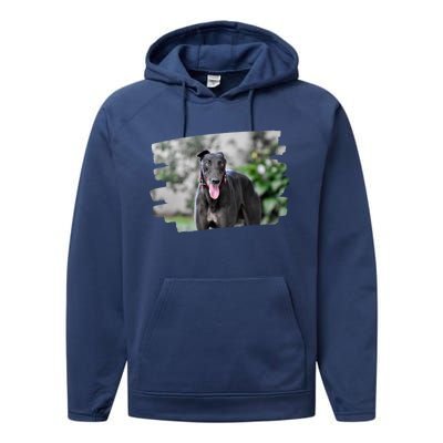 Greyhound Dog Lover Gift Performance Fleece Hoodie