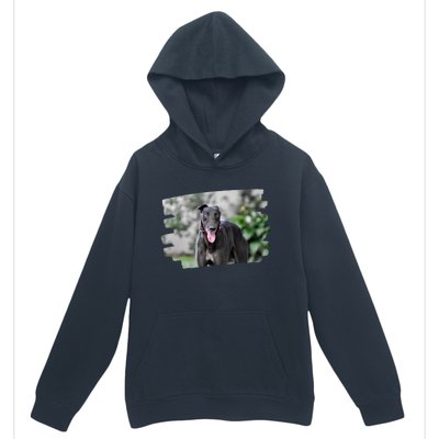 Greyhound Dog Lover Gift Urban Pullover Hoodie