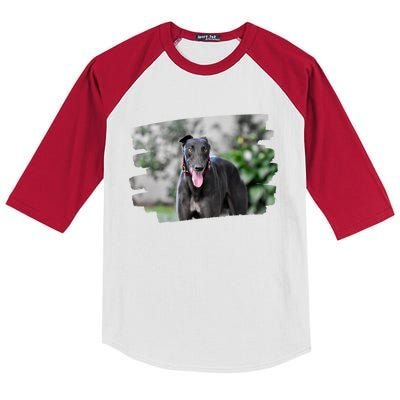 Greyhound Dog Lover Gift Kids Colorblock Raglan Jersey