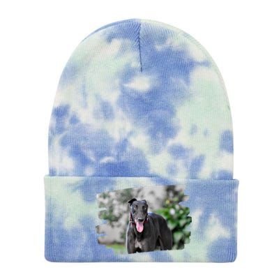 Greyhound Dog Lover Gift Tie Dye 12in Knit Beanie