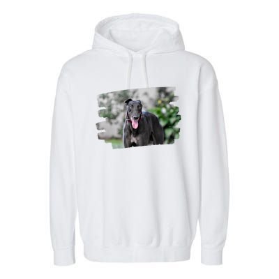 Greyhound Dog Lover Gift Garment-Dyed Fleece Hoodie