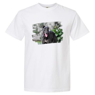 Greyhound Dog Lover Gift Garment-Dyed Heavyweight T-Shirt