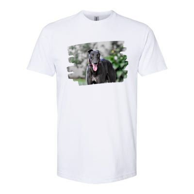 Greyhound Dog Lover Gift Softstyle CVC T-Shirt