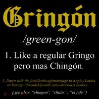 Gringon Definition Like A Regular Gringo Funny Ladies Essential Flowy Tank