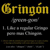Gringon Definition Like A Regular Gringo Funny Flat Bill Trucker Hat