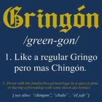 Gringon Definition Like A Regular Gringo Funny Infant Baby Jersey Bodysuit