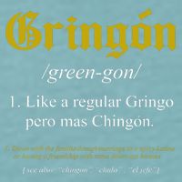 Gringon Definition Like A Regular Gringo Funny Sueded Cloud Jersey T-Shirt