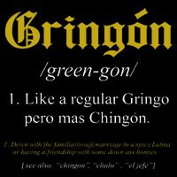 Gringon Definition Like a regular Gringo funny Drawstring Bag