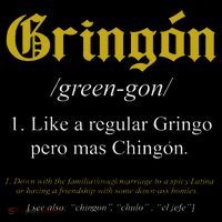 Gringon Definition Like a regular Gringo funny Women's V-Neck T-Shirt