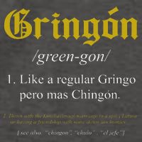 Gringon Definition Like a regular Gringo funny Vector Backpack