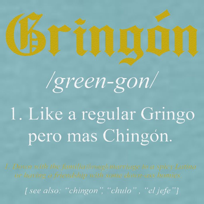 Gringon Definition Like a regular Gringo funny Sueded Cloud Jersey T-Shirt