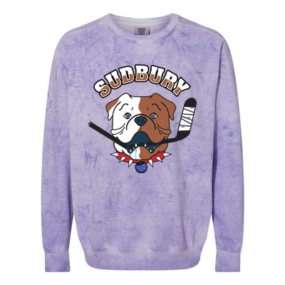 Great Design Letterkenny SHORESY Sudbury Blueberry Bulldogs #69 Captain Sweater Colorblast Crewneck Sweatshirt