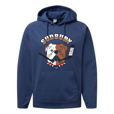 Great Design Letterkenny SHORESY Sudbury Blueberry Bulldogs #69 Captain Sweater Performance Fleece Hoodie