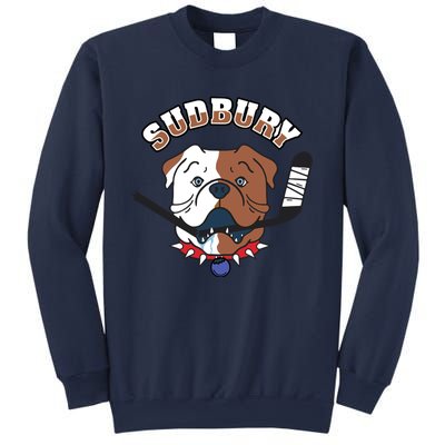 Great Design Letterkenny SHORESY Sudbury Blueberry Bulldogs #69 Captain Sweater Sweatshirt