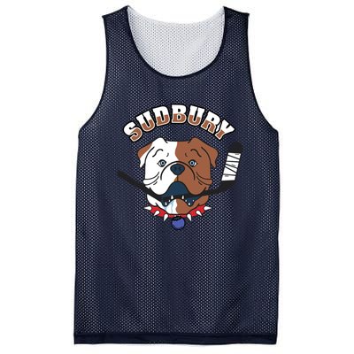 Great Design Letterkenny SHORESY Sudbury Blueberry Bulldogs #69 Captain Sweater Mesh Reversible Basketball Jersey Tank