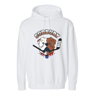 Great Design Letterkenny SHORESY Sudbury Blueberry Bulldogs #69 Captain Sweater Garment-Dyed Fleece Hoodie