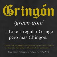 Gringon Definition Like A Regular Gringo 7 Panel Mesh Trucker Snapback Hat