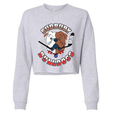 Great Design Letterkenny SHORESY 69 Sudbury Blueberry Bulldogs Cropped Pullover Crew