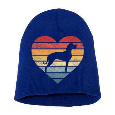 Great Dane Lover Owner Funny Gift Retro Sunset Dog Silhouette Mom Cute Gift Short Acrylic Beanie