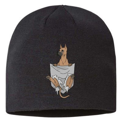 Great Dane Pocket Funny Great Dane Sustainable Beanie