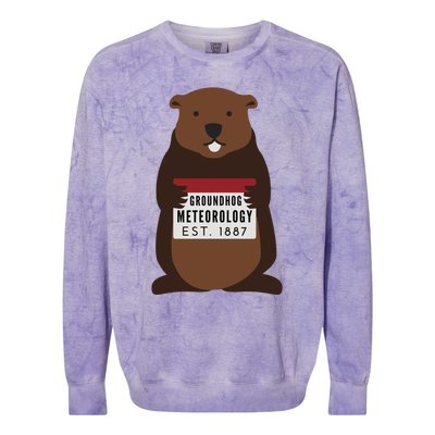 Groundhog Day Punxsutawney Phil Meteorologist Meteorology Gift Colorblast Crewneck Sweatshirt