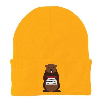 Groundhog Day Punxsutawney Phil Meteorologist Meteorology Gift Knit Cap Winter Beanie