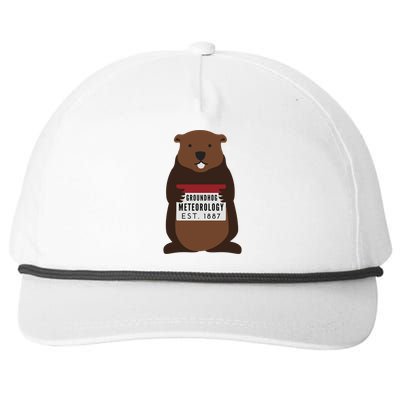 Groundhog Day Punxsutawney Phil Meteorologist Meteorology Gift Snapback Five-Panel Rope Hat