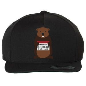 Groundhog Day Punxsutawney Phil Meteorologist Meteorology Gift Wool Snapback Cap