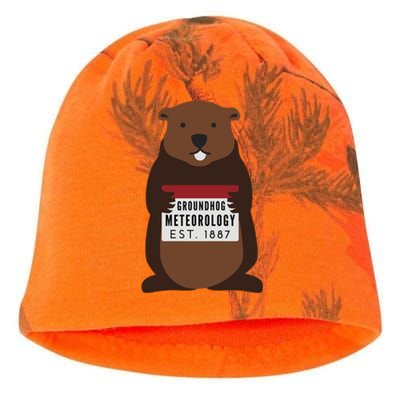 Groundhog Day Punxsutawney Phil Meteorologist Meteorology Gift Kati - Camo Knit Beanie