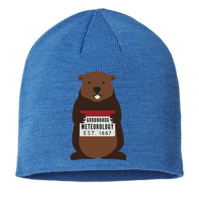 Groundhog Day Punxsutawney Phil Meteorologist Meteorology Gift Sustainable Beanie