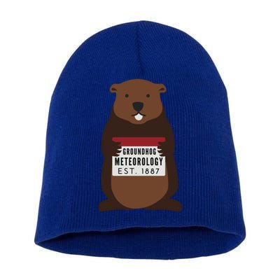 Groundhog Day Punxsutawney Phil Meteorologist Meteorology Gift Short Acrylic Beanie