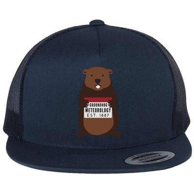 Groundhog Day Punxsutawney Phil Meteorologist Meteorology Gift Flat Bill Trucker Hat