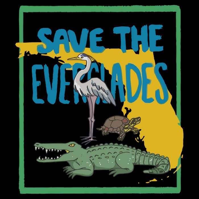 Gators Daily Save The Everglades Long Sleeve Shirt