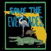 Gators Daily Save The Everglades Flatbill Hat