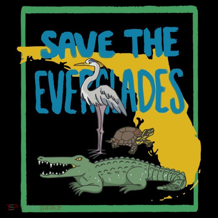 Gators Daily Save The Everglades 16 in Basic Backpack