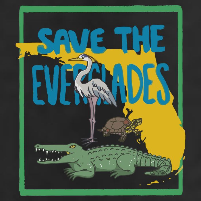 Gators Daily Save The Everglades Premium Pullover Hoodie