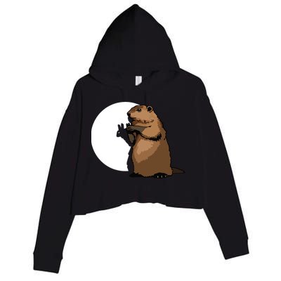 Groundhog Day Shadow Puppet Funny Gift Crop Fleece Hoodie